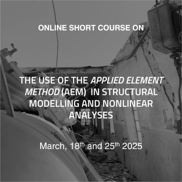 Short course AEM-mar-2025_eng